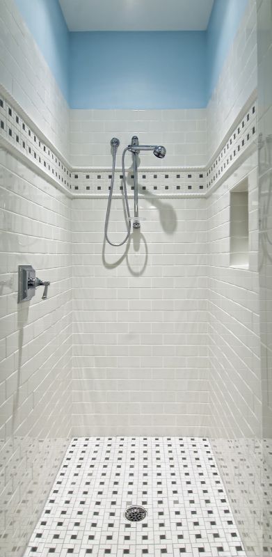Modern Shower with Black Fixtures